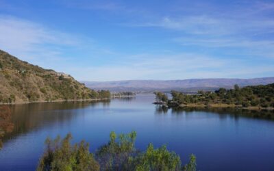 Botox Córdoba: la revolución regenerativa que despierta tu piel
